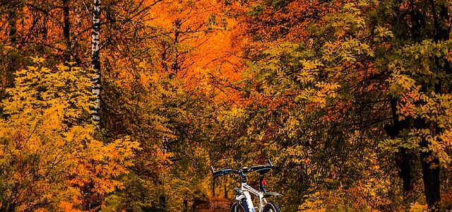 rower trekkingowy